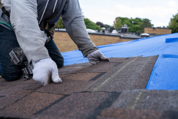 Best Roof Gutter Cleaning  in Topeka, KS